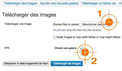 Nextgen Gallery WordPress pour simpleviewer