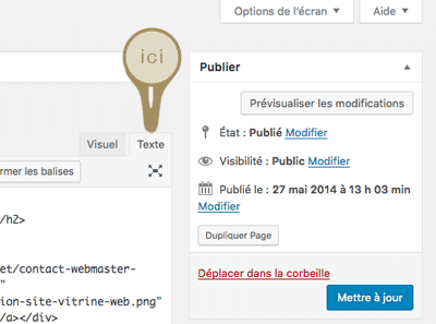 Editer page WordPress en mode texte