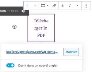 Changer lien PDF