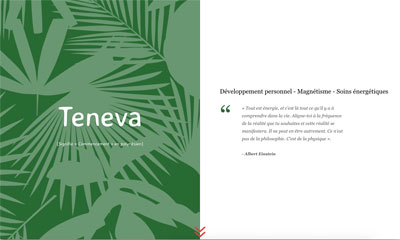 Conception siteweb Teneva Lyon