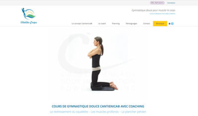 Développeur UI UX our site wordpress gym Valence